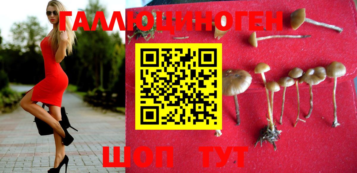 Галлюциногенные грибы MAGIC MUSHROOMS  Вход с VPN  Сызрань  Псилоцибиновые грибы Psilocybine cubensis 